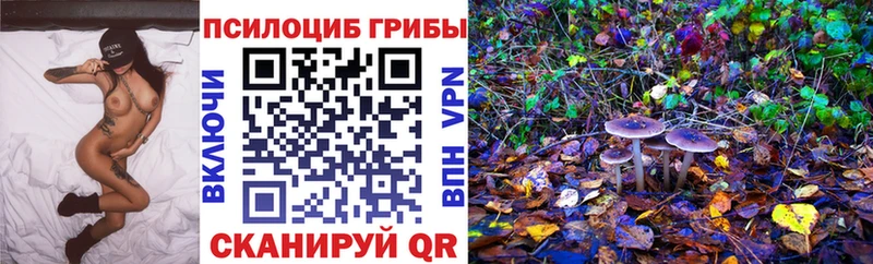 купить закладку  Мытищи  blacksprut сайт  Псилоцибиновые грибы Psilocybe 